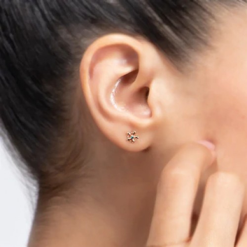 Brescia Earrings