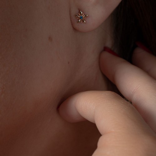 Brescia Earrings Brescia Earrings